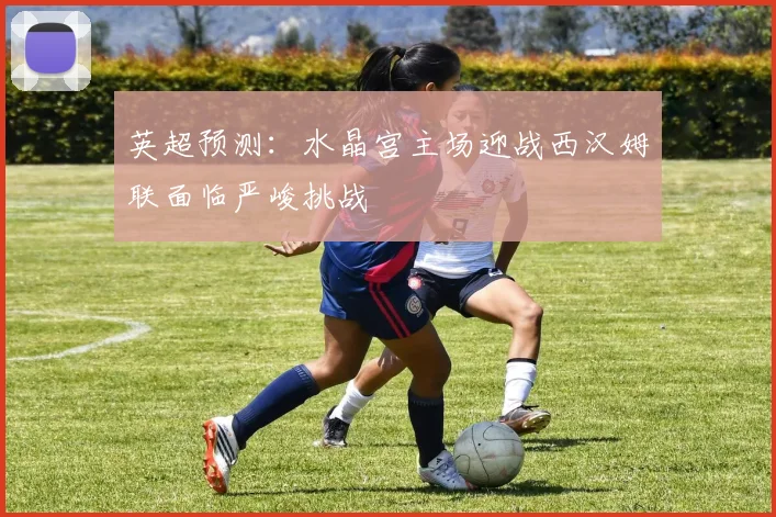英超预测：水晶宫主场迎战西汉姆联面临严峻挑战